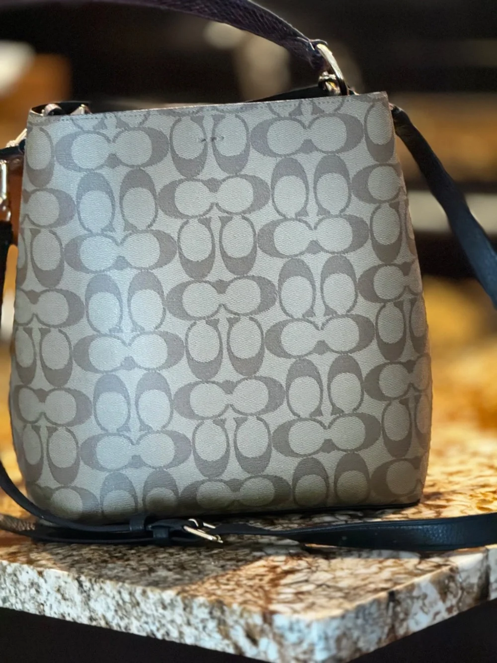 Coach Basquiat Rexie Bucket Bag Limited Signature Canvas